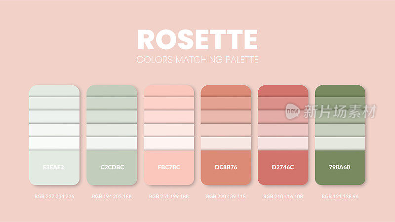 调色板中有一个玫瑰色主题系列。配色方案或颜色图表模板。颜色组合集的RGB, HSL和HEX代码。色块的艺术，时尚，家居设计，或网页设计。